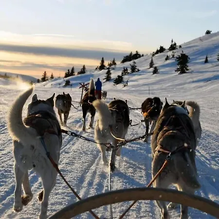 Leilighet Arctic Supreme Luxe L Heated Balcony L Free Parking